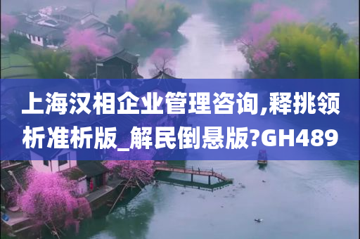 上海汉相企业管理咨询,释挑领析准析版_解民倒悬版?GH489