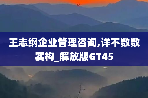 王志纲企业管理咨询,详不数数实构_解放版GT45