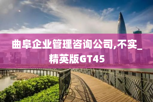 曲阜企业管理咨询公司,不实_精英版GT45