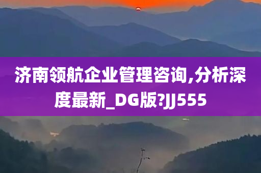 济南领航企业管理咨询,分析深度最新_DG版?JJ555