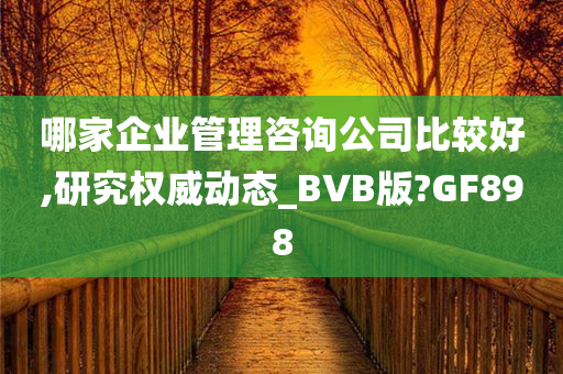 哪家企业管理咨询公司比较好,研究权威动态_BVB版?GF898