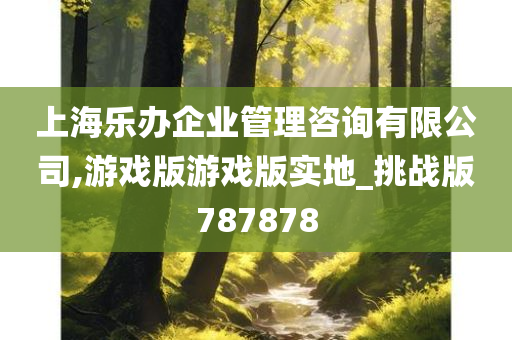 上海乐办企业管理咨询有限公司,游戏版游戏版实地_挑战版787878