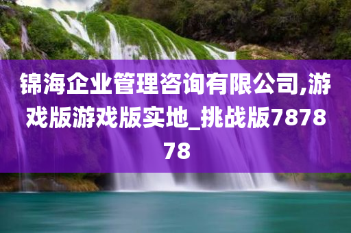 锦海企业管理咨询有限公司,游戏版游戏版实地_挑战版787878