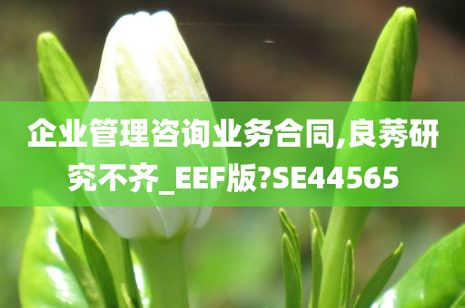 企业管理咨询业务合同,良莠研究不齐_EEF版?SE44565