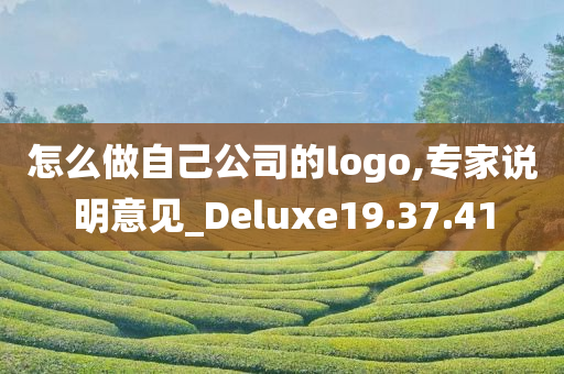 怎么做自己公司的logo,专家说明意见_Deluxe19.37.41