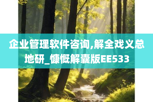 企业管理软件咨询,解全戏义总地研_慷慨解囊版EE533