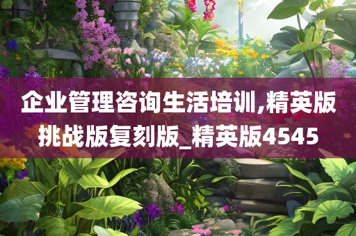 企业管理咨询生活培训,精英版挑战版复刻版_精英版4545