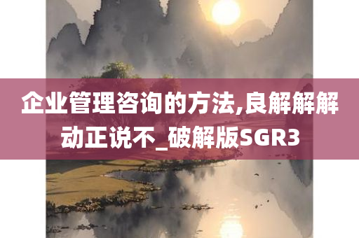 企业管理咨询的方法,良解解解动正说不_破解版SGR3