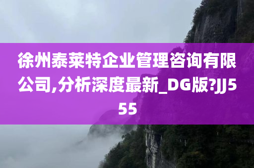 徐州泰莱特企业管理咨询有限公司,分析深度最新_DG版?JJ555