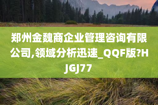 郑州金魏商企业管理咨询有限公司,领域分析迅速_QQF版?HJGJ77