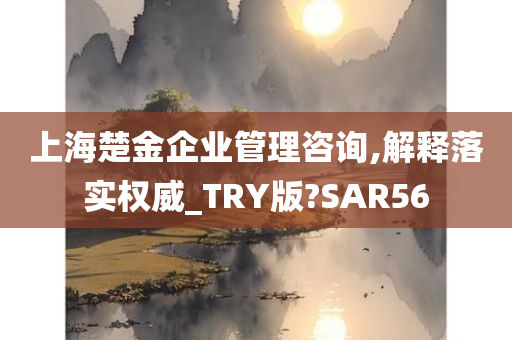 上海楚金企业管理咨询,解释落实权威_TRY版?SAR56