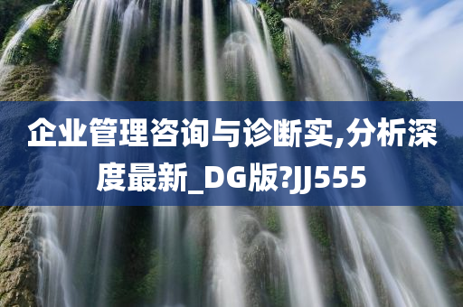 企业管理咨询与诊断实,分析深度最新_DG版?JJ555