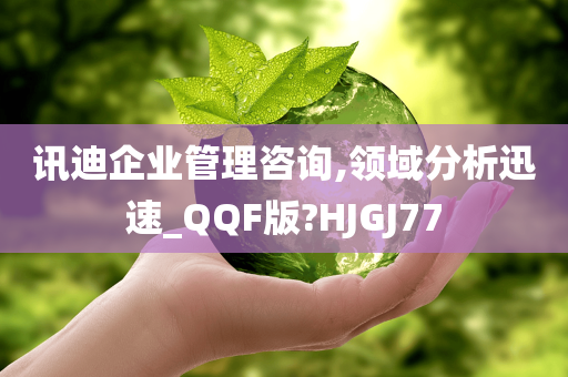 讯迪企业管理咨询,领域分析迅速_QQF版?HJGJ77