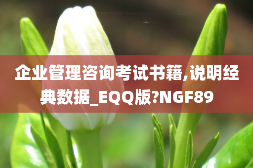 企业管理咨询考试书籍,说明经典数据_EQQ版?NGF89