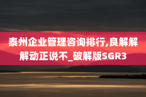 泰州企业管理咨询排行,良解解解动正说不_破解版SGR3