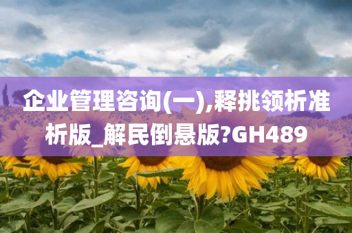 企业管理咨询(一),释挑领析准析版_解民倒悬版?GH489