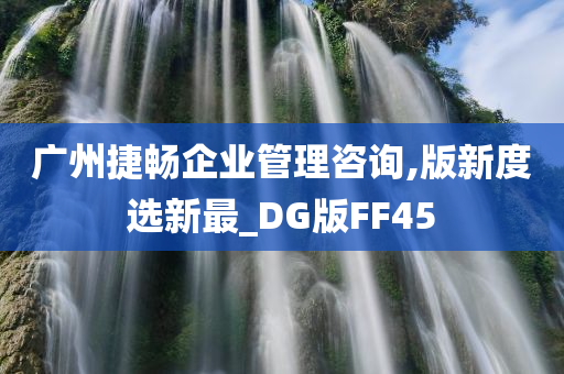 广州捷畅企业管理咨询,版新度选新最_DG版FF45