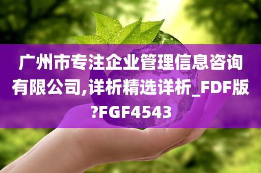 广州市专注企业管理信息咨询有限公司,详析精选详析_FDF版?FGF4543