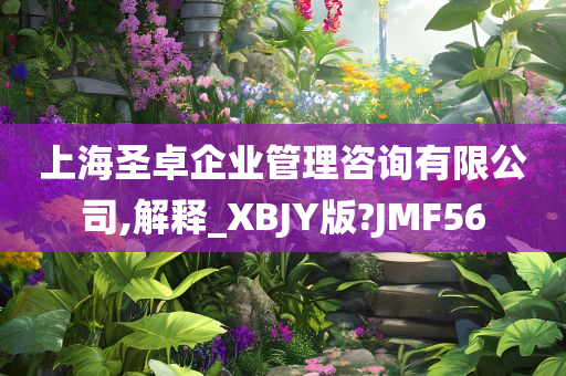 上海圣卓企业管理咨询有限公司,解释_XBJY版?JMF56