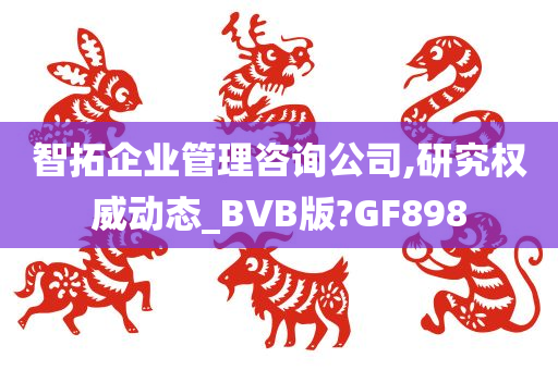 智拓企业管理咨询公司,研究权威动态_BVB版?GF898