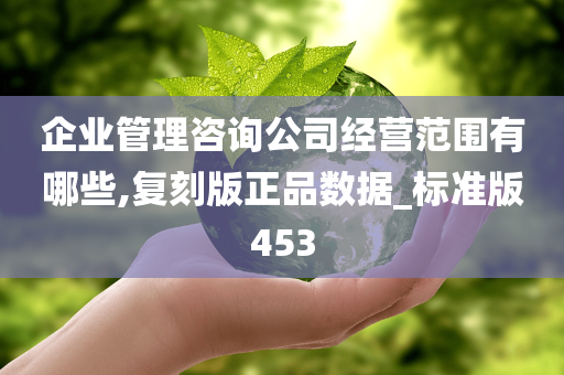 企业管理咨询公司经营范围有哪些,复刻版正品数据_标准版453