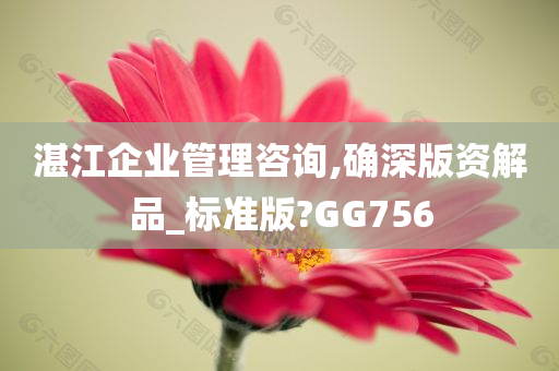 湛江企业管理咨询,确深版资解品_标准版?GG756