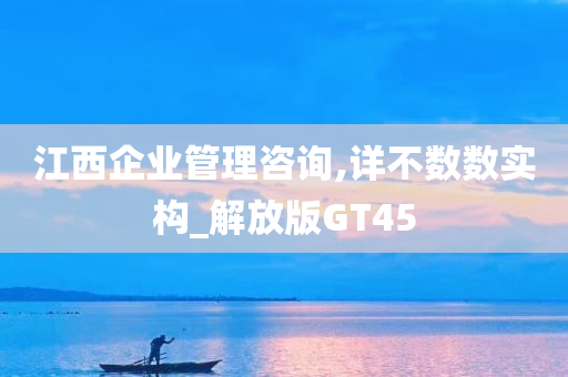 江西企业管理咨询,详不数数实构_解放版GT45