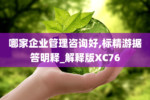 哪家企业管理咨询好,标精游据答明释_解释版XC76