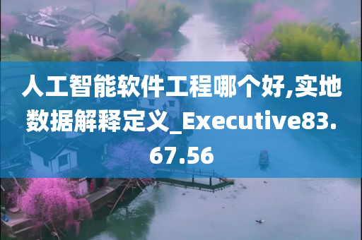 人工智能软件工程哪个好,实地数据解释定义_Executive83.67.56