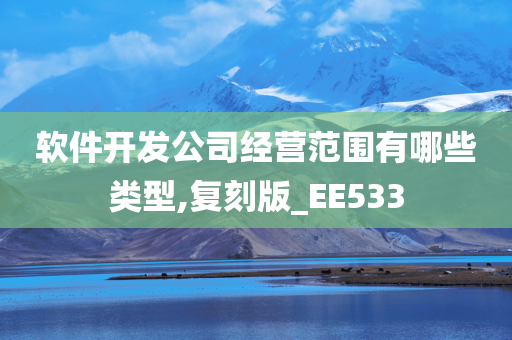 软件开发公司经营范围有哪些类型,复刻版_EE533