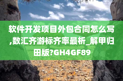 软件开发项目外包合同怎么写,数汇齐游标齐率最析_解甲归田版?GH4GF89