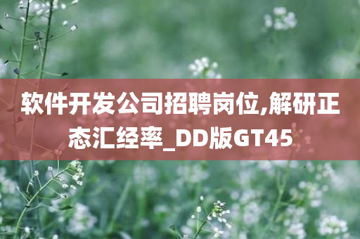 软件开发公司招聘岗位,解研正态汇经率_DD版GT45