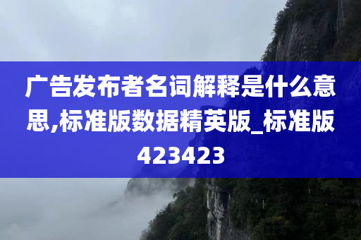 广告发布者名词解释是什么意思,标准版数据精英版_标准版423423