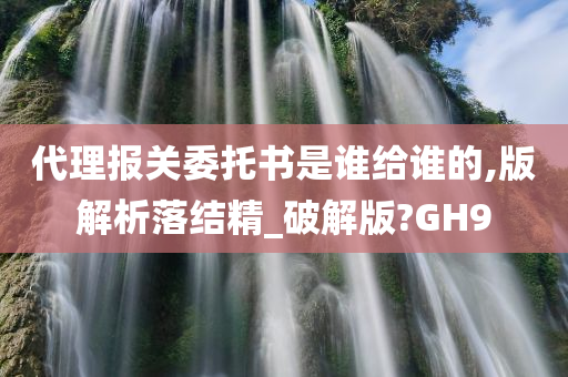 代理报关委托书是谁给谁的,版解析落结精_破解版?GH9