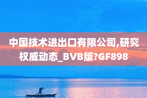 中国技术进出口有限公司,研究权威动态_BVB版?GF898