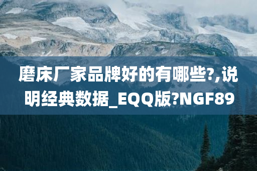 磨床厂家品牌好的有哪些?,说明经典数据_EQQ版?NGF89