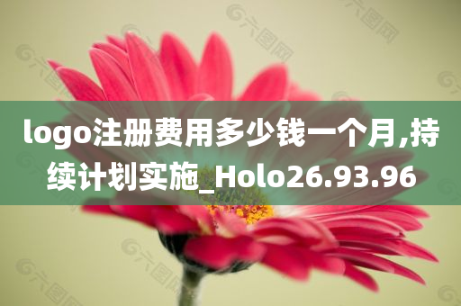 logo注册费用多少钱一个月,持续计划实施_Holo26.93.96