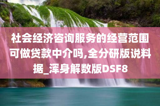 社会经济咨询服务的经营范围可做贷款中介吗,全分研版说料据_浑身解数版DSF8