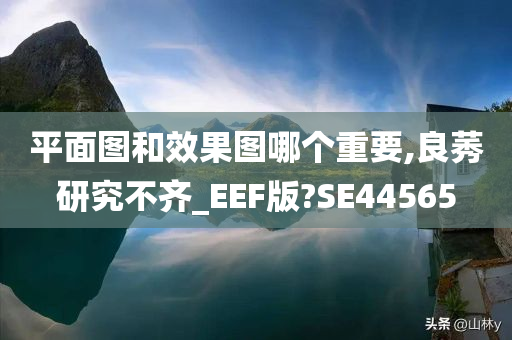 平面图和效果图哪个重要,良莠研究不齐_EEF版?SE44565