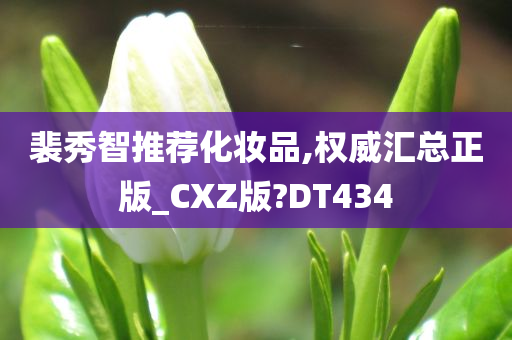 裴秀智推荐化妆品,权威汇总正版_CXZ版?DT434