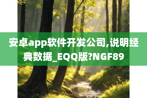 安卓app软件开发公司,说明经典数据_EQQ版?NGF89