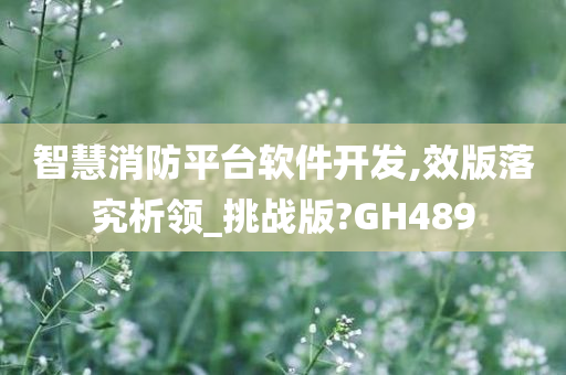 智慧消防平台软件开发,效版落究析领_挑战版?GH489