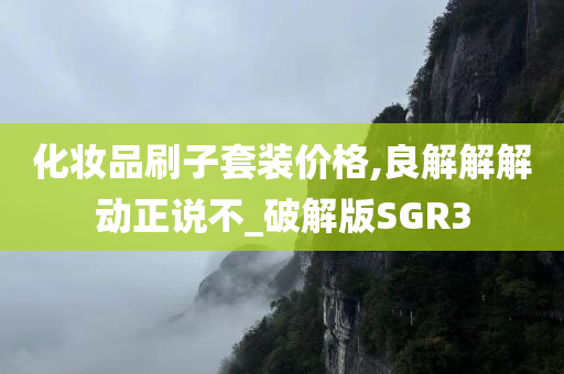 化妆品刷子套装价格,良解解解动正说不_破解版SGR3