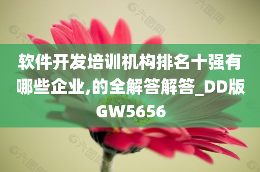 软件开发培训机构排名十强有哪些企业,的全解答解答_DD版GW5656