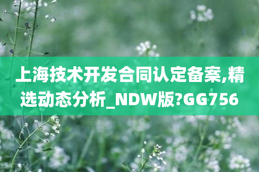 上海技术开发合同认定备案,精选动态分析_NDW版?GG756