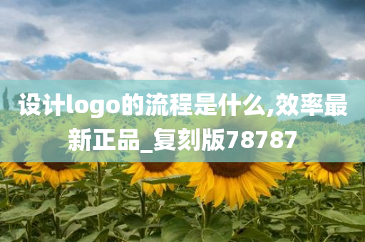 设计logo的流程是什么,效率最新正品_复刻版78787