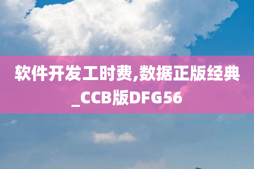 软件开发工时费,数据正版经典_CCB版DFG56