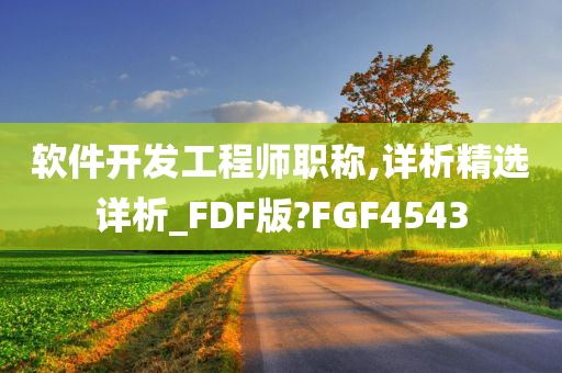 软件开发工程师职称,详析精选详析_FDF版?FGF4543