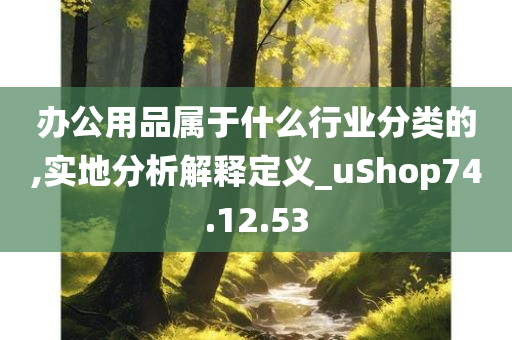 办公用品属于什么行业分类的,实地分析解释定义_uShop74.12.53