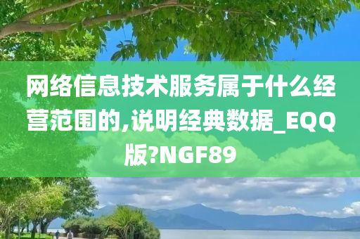 网络信息技术服务属于什么经营范围的,说明经典数据_EQQ版?NGF89